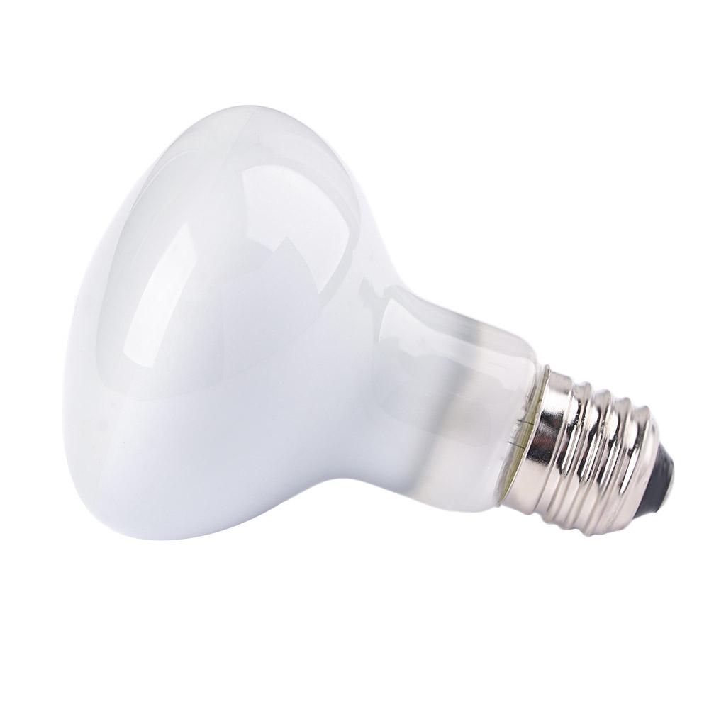 Basking Bulb Halogen - Controlador de Temperatura para Répteis: Lâmpada
