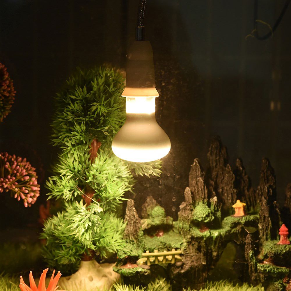 Basking Bulb Halogen - Lâmpada de Aquecimento para Anfíbios, Luz