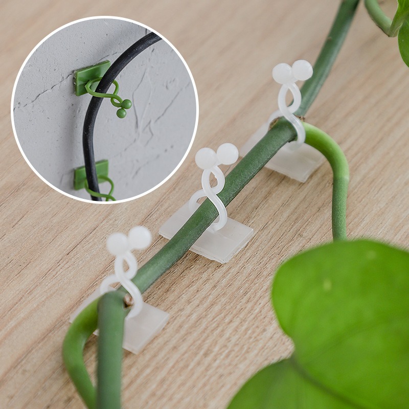 Vine Climbing Plastic - 10 Peças Ganchos de Fixação para