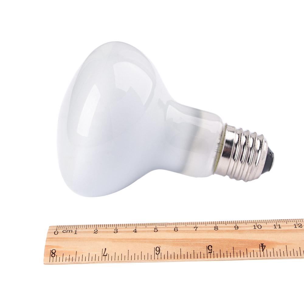 Lâmpada de Aquecimento para Ré - Basking Bulb Halogen avaliação e preço