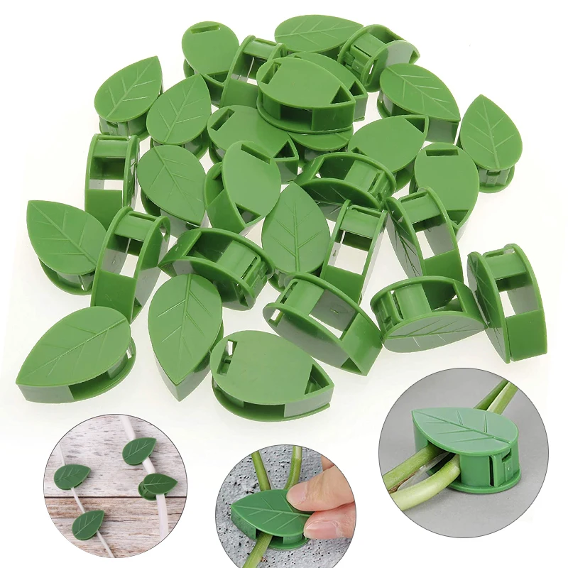 Dispositivo de escalada de par - Vine Climbing Plastic avaliação e preço