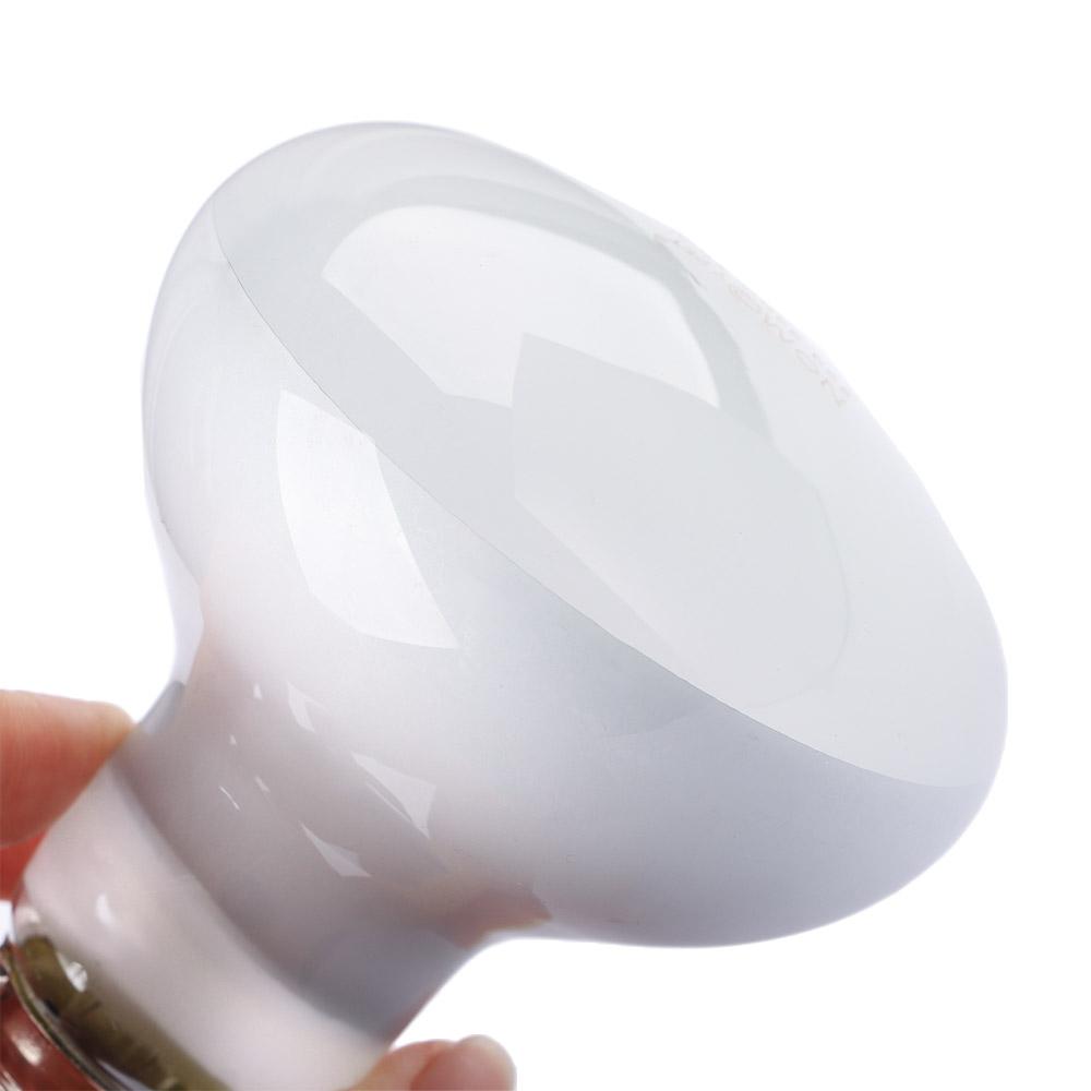 Controlador de Temperatura par - Basking Bulb Halogen avaliação e preço