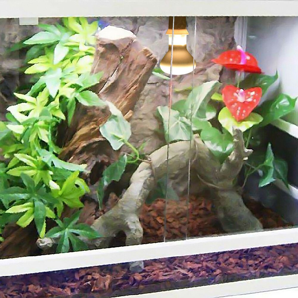 Controlador de Temperatura par - Basking Bulb Halogen avaliação e preço