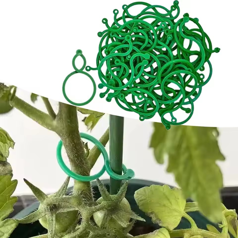 50-400 Peças de Clipes de Supo - Vine Climbing Plastic avaliação e preço