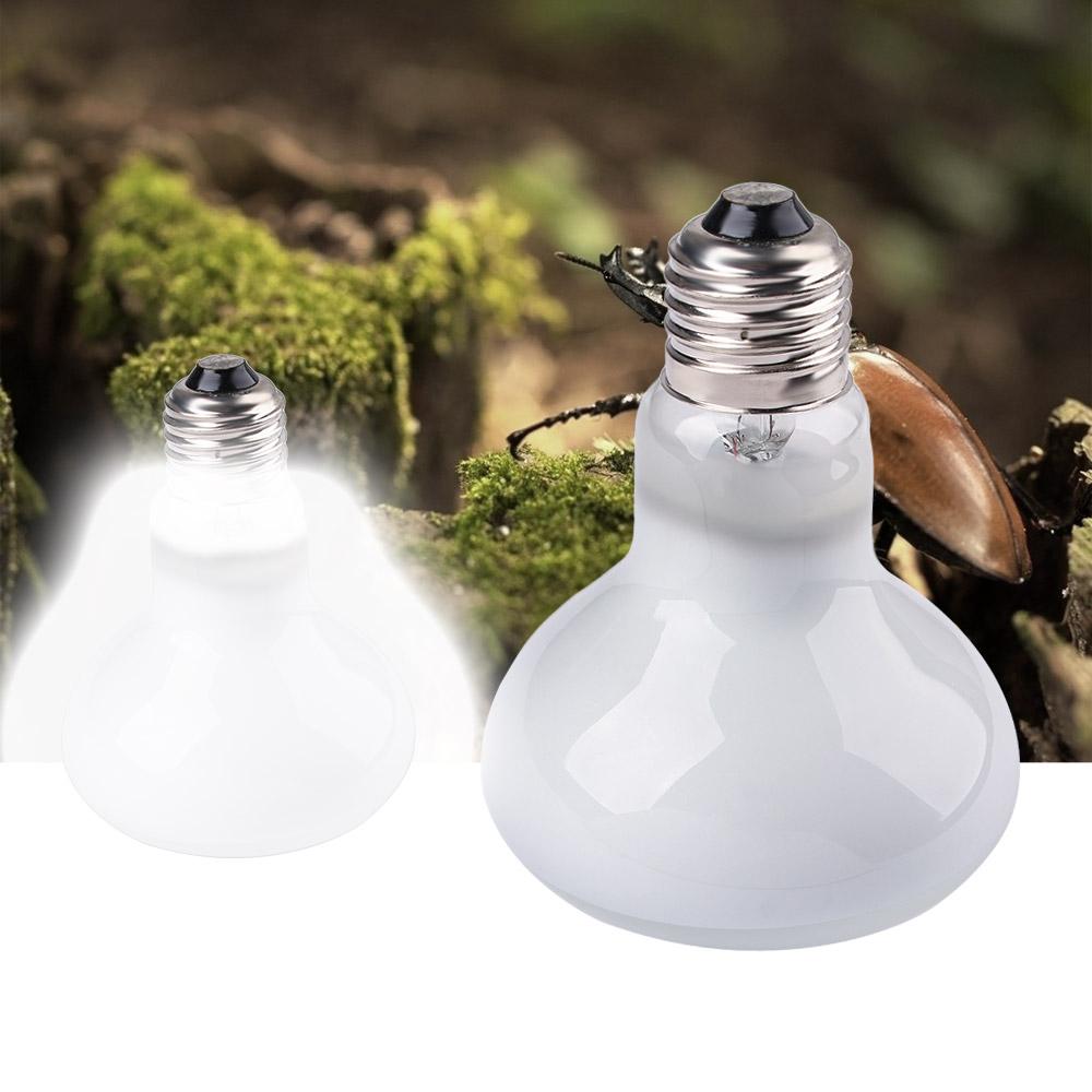 Lâmpada de Aquecimento para An - Basking Bulb Halogen avaliação e preço