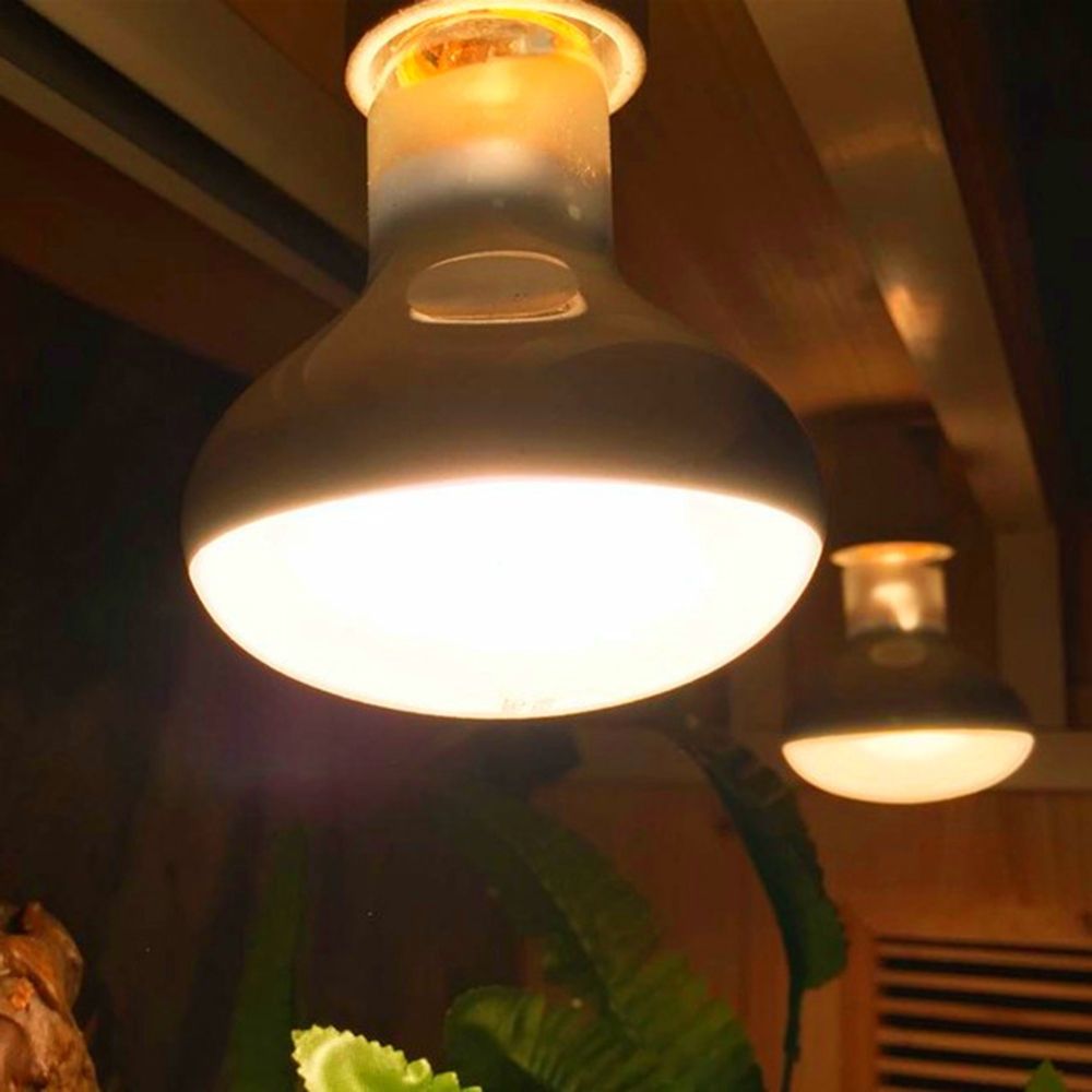 Lâmpada de Aquecimento para An - Basking Bulb Halogen avaliação e preço