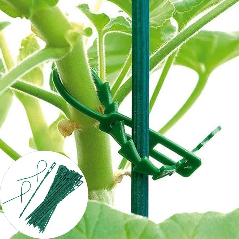 Atacado: Abraçadeiras Reutiliz - Vine Climbing Plastic avaliação e preço