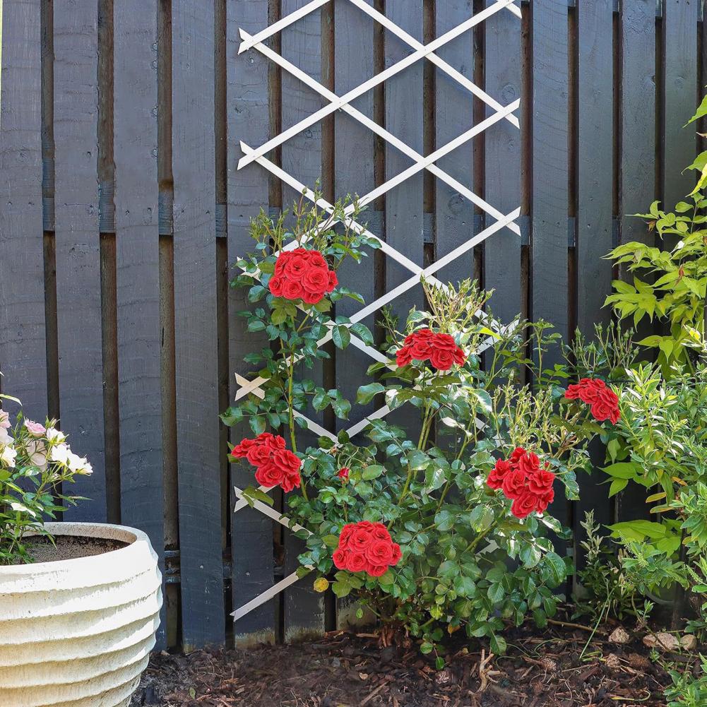Treliça Expansível para Jardim - Vine Climbing Plastic avaliação e preço