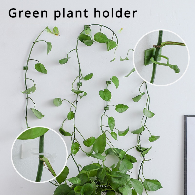 10 Peças Ganchos de Fixação pa - Vine Climbing Plastic avaliação e preço