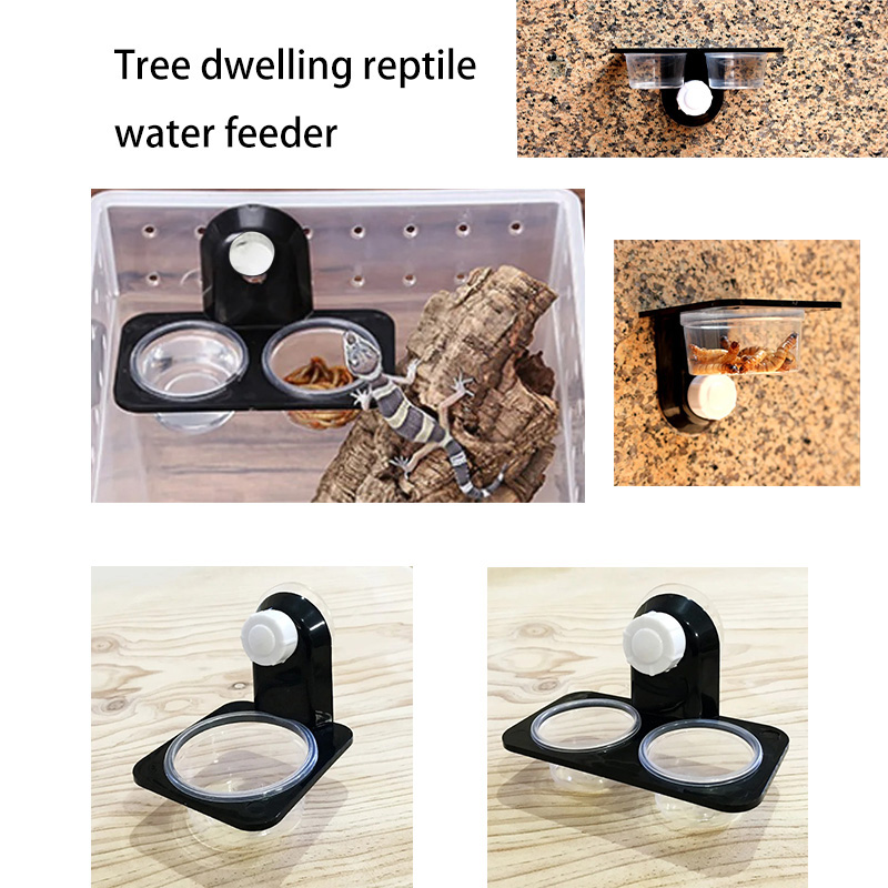 Acessórios para tanque de répt - Water Dish Reptile avaliação e preço