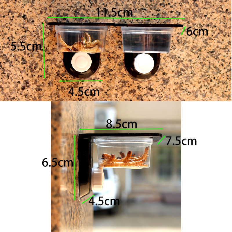 Acessórios para tanque de répt - Water Dish Reptile avaliação e preço