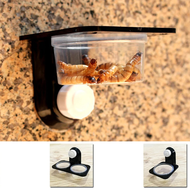 Acessórios para tanque de répt - Water Dish Reptile avaliação e preço