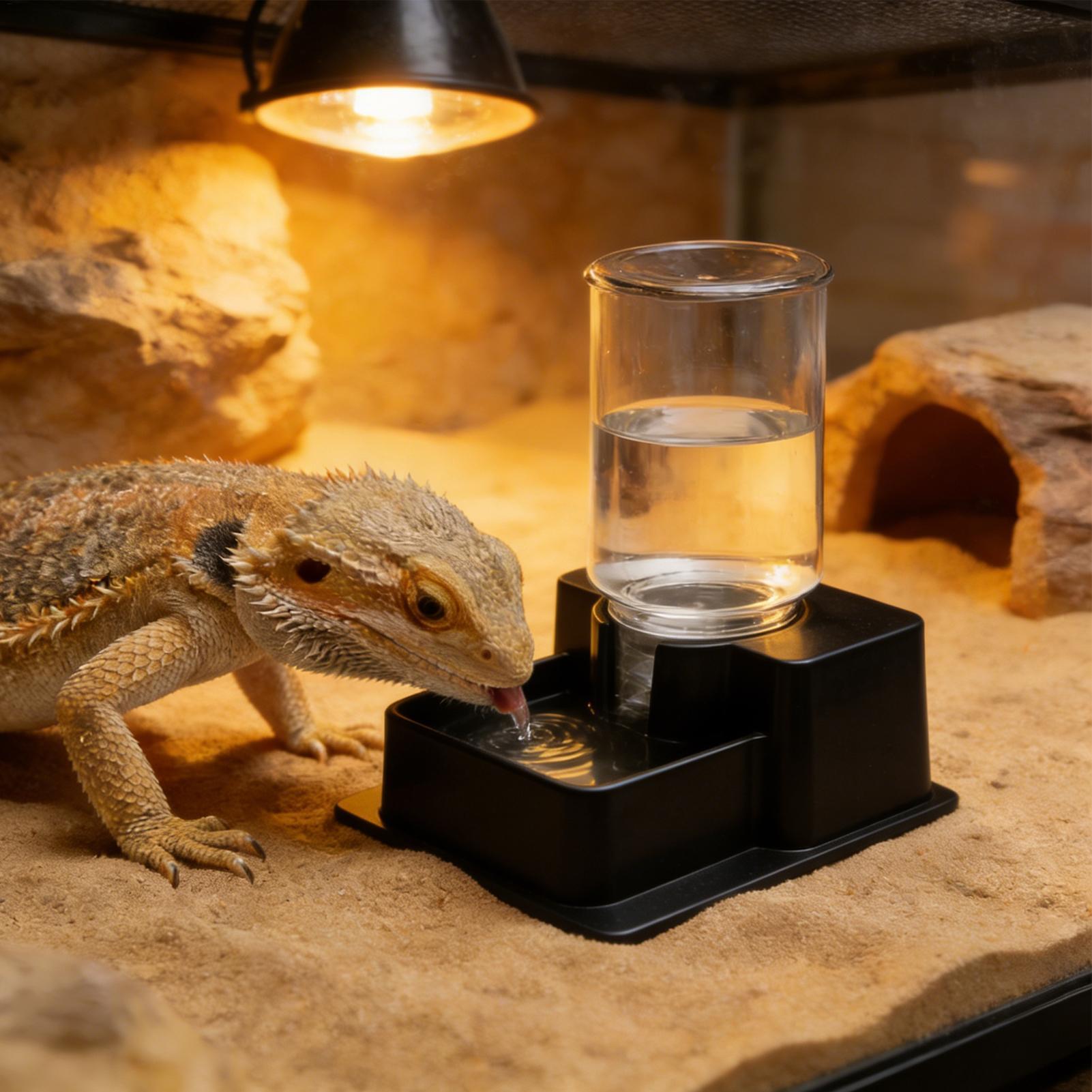 Bebedouro Automático para Répt - Water Dish Reptile avaliação e preço