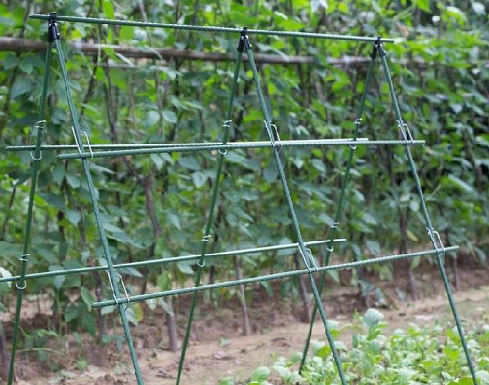 Planta Suporte Jardim Treliça, - Vine Climbing Plastic avaliação e preço