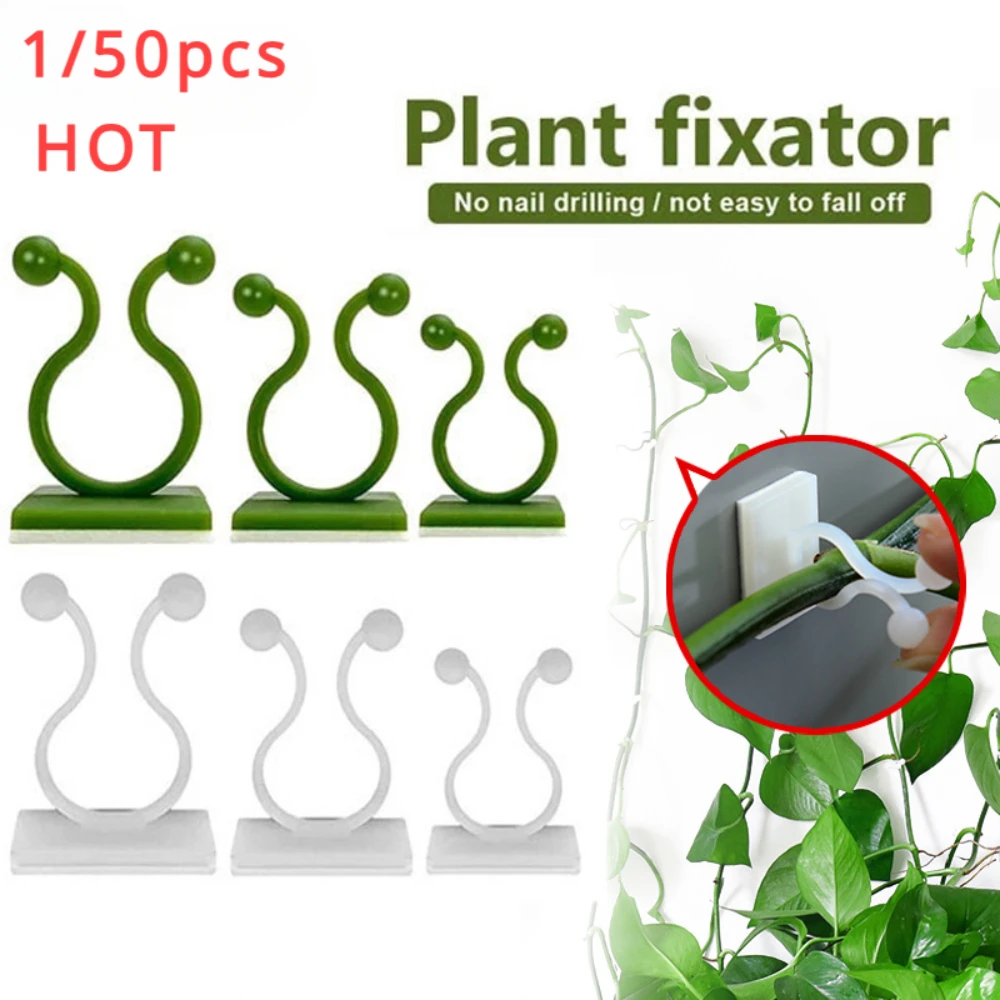 1/30/50 pçs para acessórios de - Vine Climbing Plastic avaliação e preço