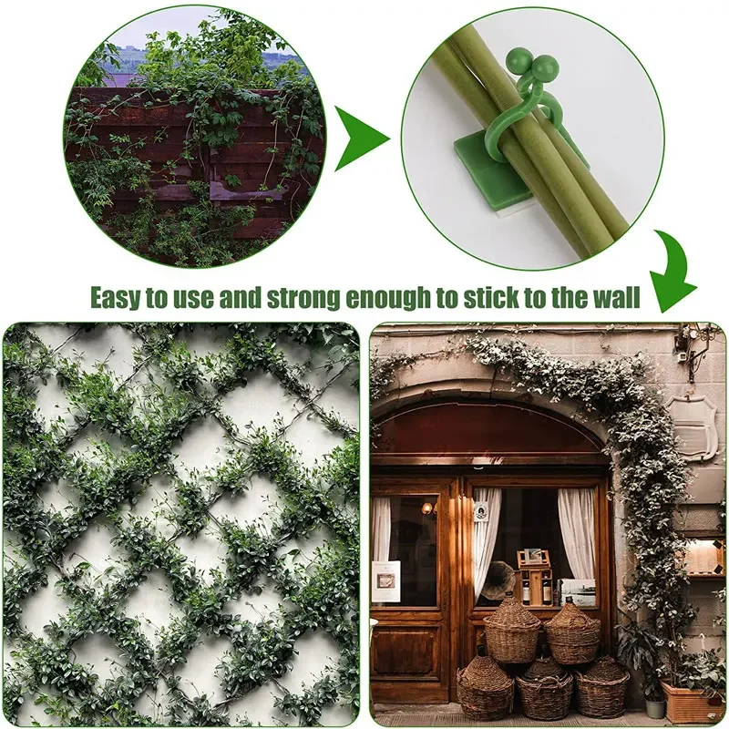 1/30/50 pçs para acessórios de - Vine Climbing Plastic avaliação e preço