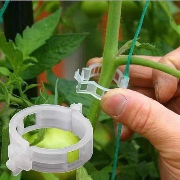 500 Peças de Clipes de Plástic - Vine Climbing Plastic avaliação e preço