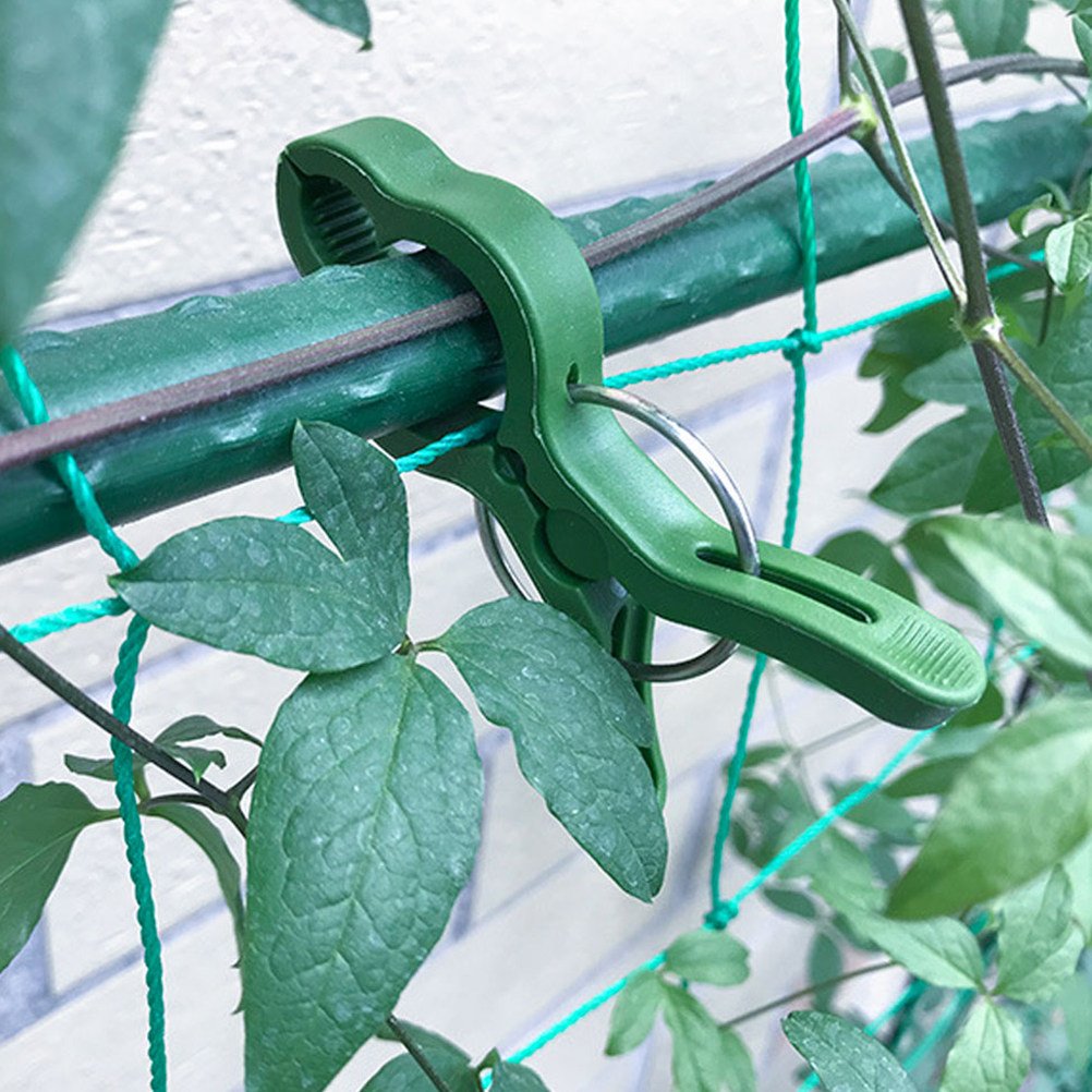 60 Peças de Clipes de Plástico - Vine Climbing Plastic avaliação e preço