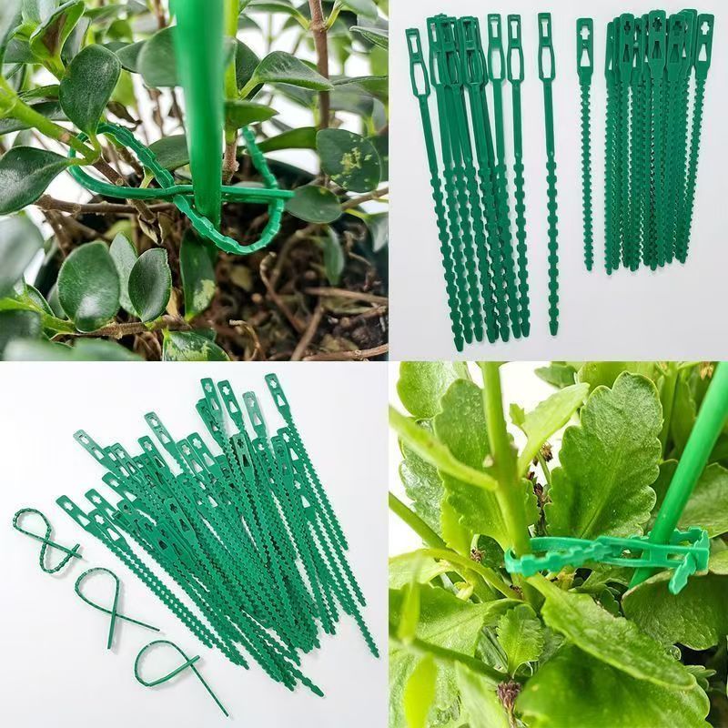 Laços Reutilizáveis Verdes par - Vine Climbing Plastic avaliação e preço