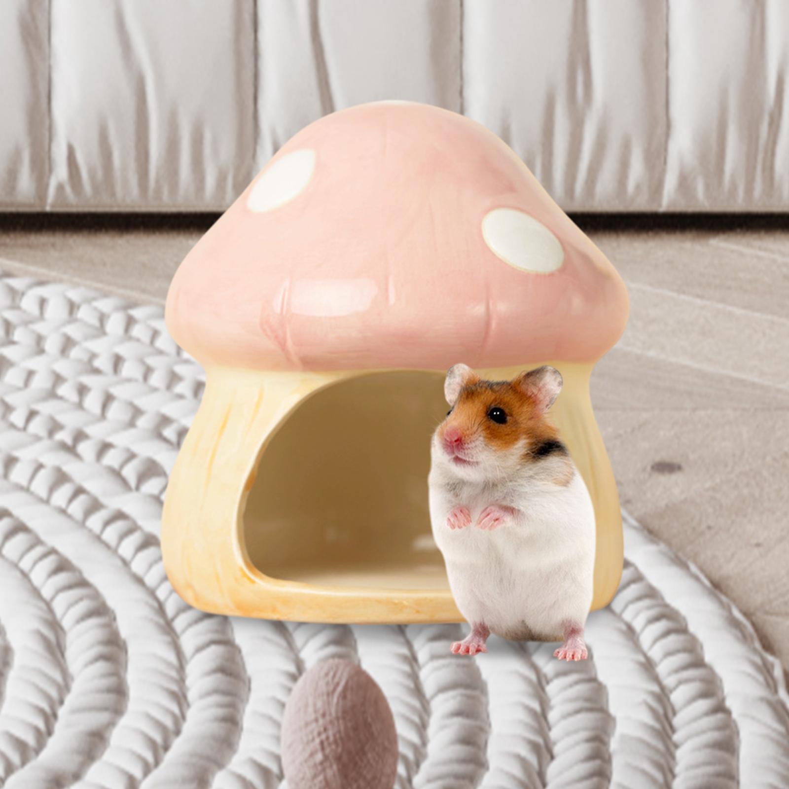 Cogumelo de cerâmica hamster e - Hide Cave Ceramic avaliação e preço